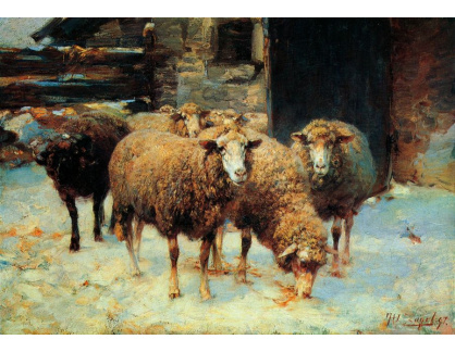 VN-116 Heinrich von Zügel - Ovce v zimě před stodolou