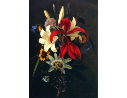 VN-253 Adolph Senff - Zátiší s liliemi a dalšími květinami