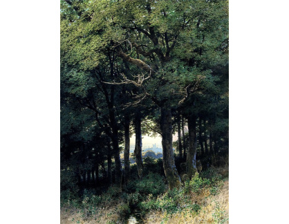 VN-275 Carl Theodor Reiffenstein - Dubové lesy v Alzenau