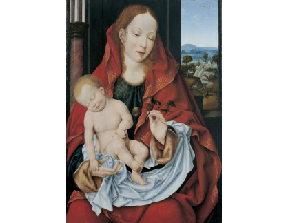 VH750 Joos van Cleve - Madonna s dítětem