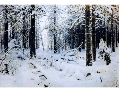 VR60 Ivan Ivanovič Šiškin - Zimní les