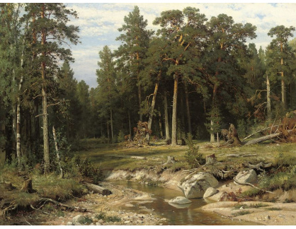 VR-314 Ivan Ivanovič Šiškin - Borový les v gubernii Vjatka