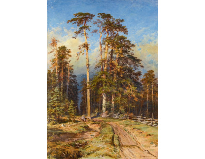 VR-346 Ivan Ivanovič Šiškin - Borovicový les