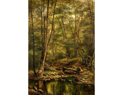 VCM 418 Alois Kirnig - Lesní rybník