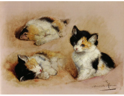 VH203 Henriëtte Ronner-Knip - Studie probuzení kotěte