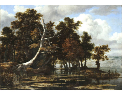 VH463 Jacob Isaacksz van Ruisdael - Duby u jezera s lekníny