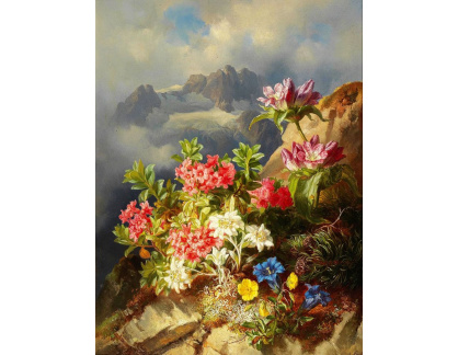 DDSO-29 Andreas Lach - Zátiší s alpskými květinami