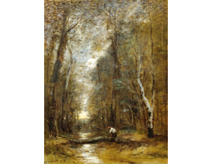 DDSO-219 Jean-Babtiste Camille Corot - Přes potok