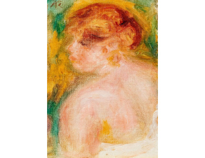 DDSO-337 Pierre Auguste Renoir - Studie aktu