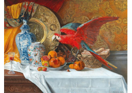 DDSO-392 Adrien Moreau - Zátiší s papouškem