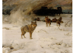 DDSO-439 Alfred von Wierusz-Kowalski - Vlci ve sněhové bouři