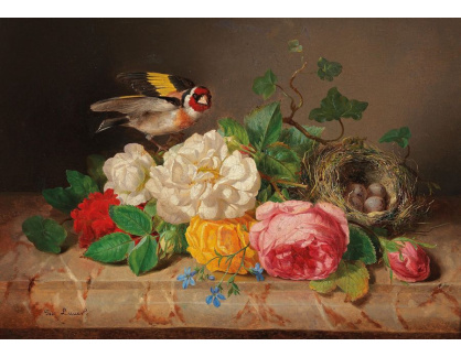 DDSO-828 Josef Lauer - Zátiší s růžemi, stehlíkem a ptačím hnízdem