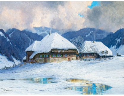 DDSO-861 Karl Hauptmann - Dva domy v zimě