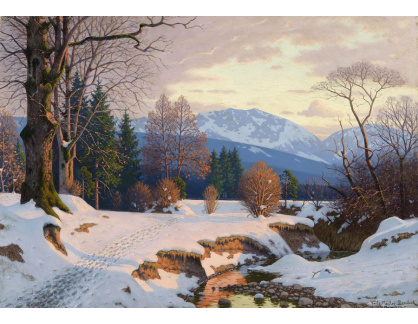 DDSO-1111 Fritz Müller-Landeck - Otevřená zimní krajina ve večerním světle