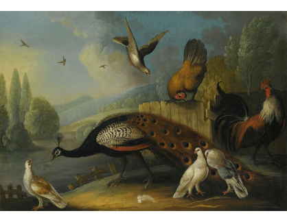 DDSO-1241 Marmaduke Cradock - Zátiší s pávem a holuby u řeky