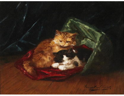 DDSO-1349 Alfred de Neuville - Koťata v koši