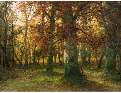 DDSO-2236 Adolf Kaufmann - Podzimní les