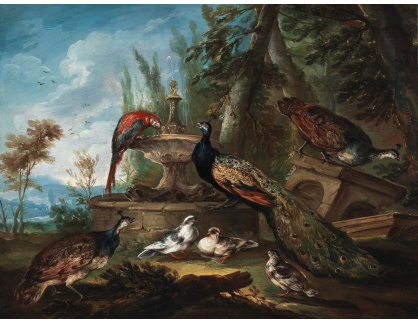 DDSO-2279 Giovanni Crivelli - Pávi a holubi u fontány