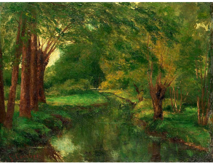 DDSO-2281 Gustave Courbet - Lesní potok