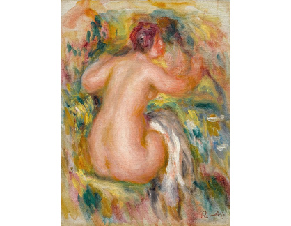 DDSO-2348 Pierre Auguste Renoir - Po koupání