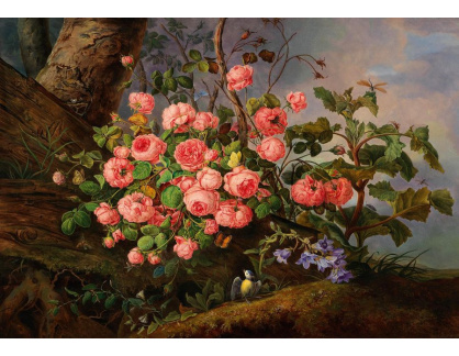 DDSO-1595 Franz Xaver Gruber - Zátiší z růžemi