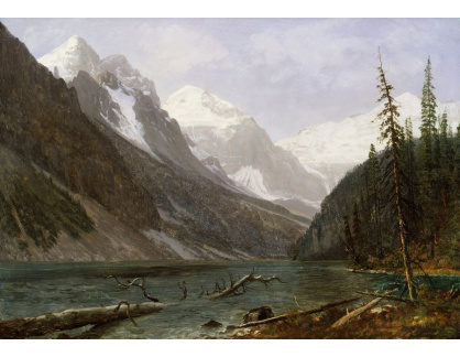 DDSO-2117 Albert Bierstadt - Kanadské hory