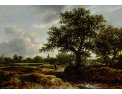 DDSO-2168 Jacob Isaaksz van Ruisdael - Krajina s vesnicí