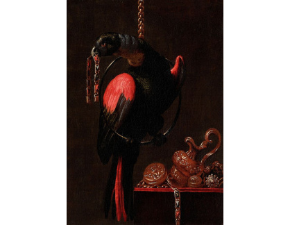 DDSO-1895 Andrea Scacciati - Papoušek s náramkem