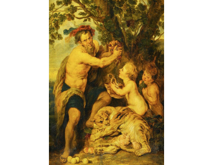 DDSO-2091 Peter Paul Rubens - Muž s vodou a tygr