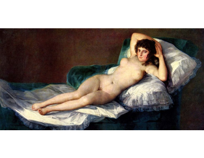 VP224 Francisco de Goya - Nahá Mája