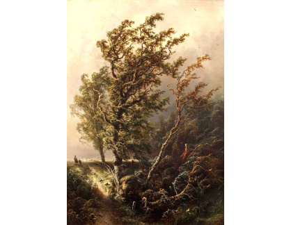 SO VII-182 Pieter Kluyver - Stromy za bouřlivého počasí