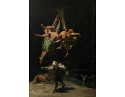 SO VII-214 Francisco de Goya - Létající čarodějnice