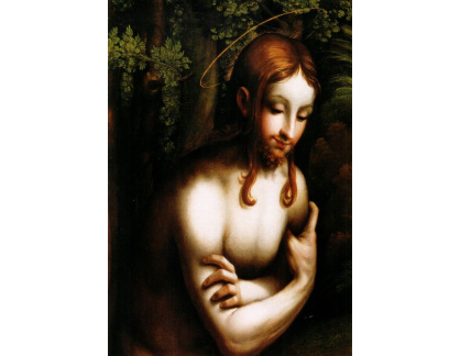 SO VII-219 Parmigianino - Křest Krista