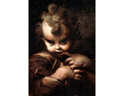 SO VII-222 Parmigianino - Dítě