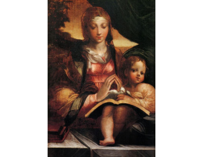 SO VII-226 Parmigianino - Madonna Doria