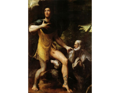 SO VII-231 Parmigianino - Svatý Rocco a dárce