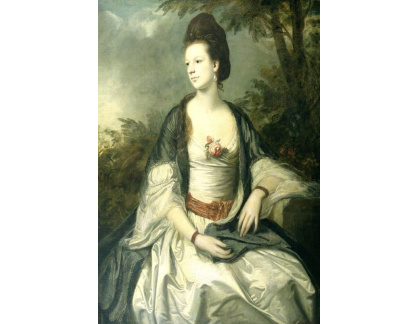 SO VII-241 Joshua Reynolds - Lady Cecil Rice