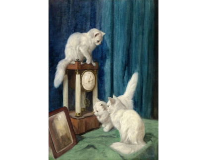 SO VII-360 Artur Heyer - Tři kočky