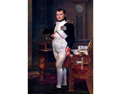 VSO30 Jacques-Louis David - Portrét Napoleona Bonaparte