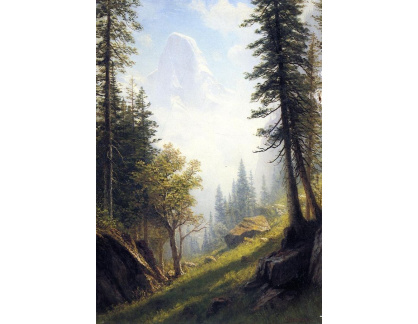VSO 774 Albert Bierstadt - Bernské Alpy