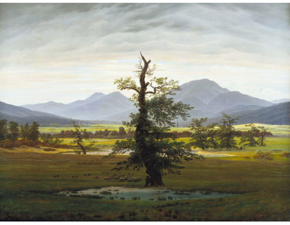 VSO 397 Caspar David Friedrich - Osamělý strom