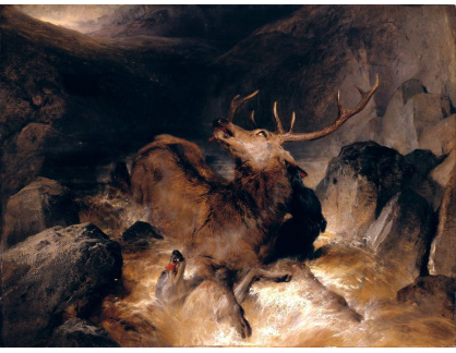 VSO 408 Edwin Henry Landseer - Raněný jelen