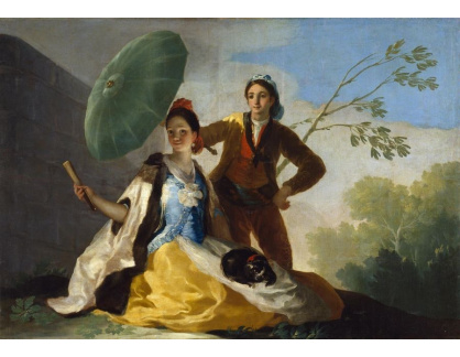 VSO 997 Francisco de Goya - Slunečník