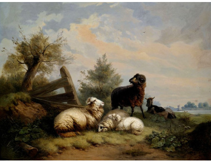 VSO 1185 Wilhelm Melchior - Ovce, beran a koza