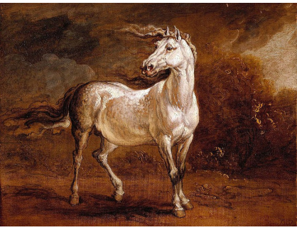 VSO 906 James Ward - Kůň v krajině
