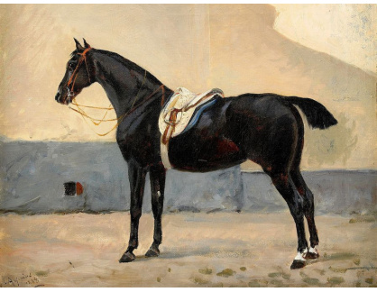 SO IV-196 John Arsenius - Portrét koně