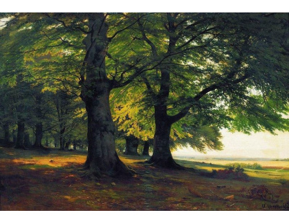 SO VI-116 Ivan Ivanovič Šiškin - Mohutné stromy