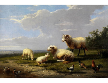 SO VI-172 Frans van Severdonck - Krajina s ovcemi, kuřaty a kachnami