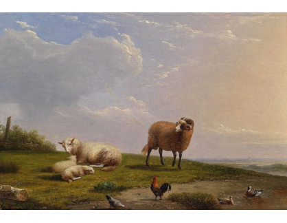 SO VI-274 Frans van Severdonck - Ovce na pozadí vzdálené krajiny