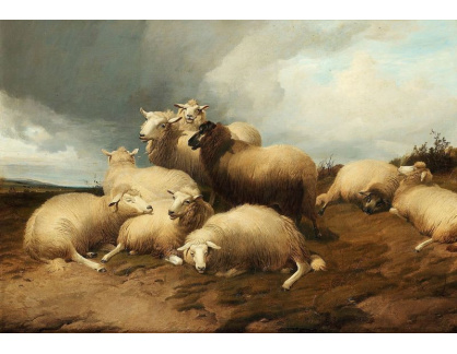 SO VIII-489 Thomas Luny - Odpočívající stádo ovcí